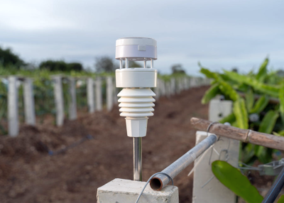 Ecowitt WS90 7-in-1 Wetterstation Sensor-Array Ultraschall-Wind Piezo-Regen Solarstrahlung UV Shelly